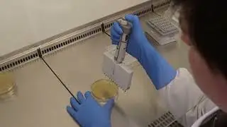 Behind the Screens at Inteliphage