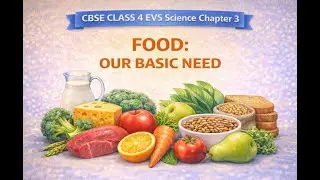 CBSE Class 4 EVS Science Chapter 3 Food our Basic need  Day 2   1