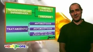 03. Prevenci&oacute;n de las enfermedades infecciosas. 6&ordm; Conocimiento del Medio. Videoprofe.net