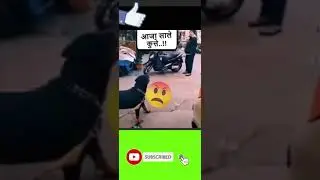 #Thuglife #ICONISALIVE किसी से पंगा नहीं लेना चाहिए 🤣😂| do not trigger anyone| Dog Khel Gaya #shorts