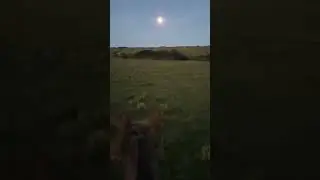 Finalizando las tareas un poco m&aacute;s tarde hoy #trabajorural #campo #caballos #uruguaynatural