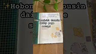Daily Page setup🥰 #hobonichicousin #hobonichi #hobonichiplanner #journalspreads #journalsetup
