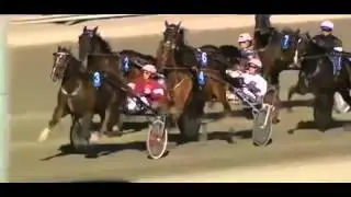 Elitloppet 2012 COMMANDER CROWE (10,4a) & Christophe Martens - Solvalla Sweden 27 05 2012