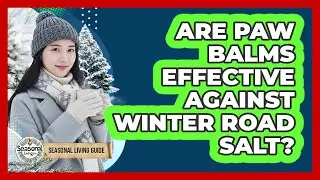 Are Paw Balms Effective Against Winter Road Salt?