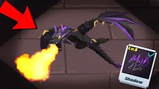 The Strongest Pet In Bedwars.....THE SHADOW DRAGON!!