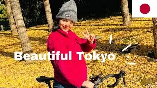 Beautiful Kasai Rinkai Park Sunset 🌅 | Life in Japan with Baby