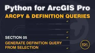 Generate Definition Query From Selection ArcGIS Pro Geoprocessing Tool with ArcPy
