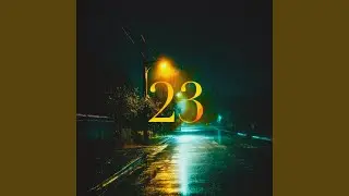 23