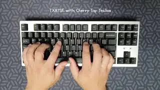 TX87SE 체뚜틸(윤활) 타건  |  TX87SE with lubed Cherry Top Tealios