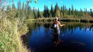 Flugfiske med Torrfluga i H&auml;rjedalen del 2