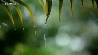 24 Hours Relaxing Sleep Music with Rain Sounds | Meditation Music, Stress Relief, Relaxing Music