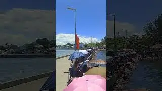banate boat race 💖 #boatrace #sailrace #sailingregatta #performancesailing #sailingclub #regatta