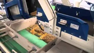 SYMACH Palletizers - Palletizing 4 kg net bag potatoes