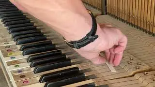 Piano Tuning and Cleaning | Passion Project