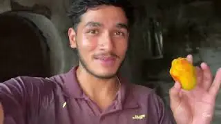 Trip Cancel 😭 | Bad Monsoon 🙃 | Village Lifestyle ❤️ | Daily Vlogs 😍 | Vlog - 36