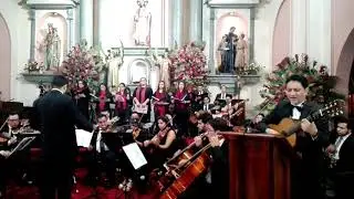 María,  Paloma Incorrupta