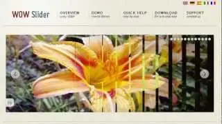 Pure CSS Image Slider: No Javascript Required!