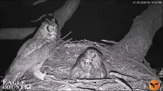 25 Jan evening ~ Dad GHO brings tiny tasty morsels ~ &copy;️HDonTAP