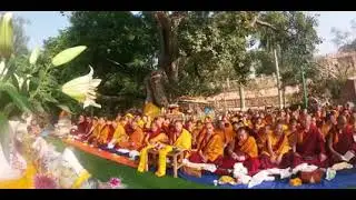 Loser Tashi Monlam at Boudhgaya 🙏🙏🙏🙏
