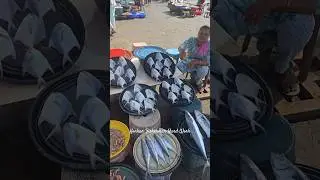 Konkan's BIGGEST Fish Auction Ever