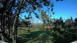 Trying HQProp T1.9x3x3 PolyCarbonate (triblade) on my 85mm FullHD whoop