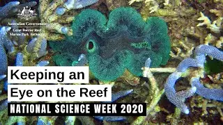 National Science Week 2020: Keeping an Eye on the Reef | Great Barrier Reef Marine Park Authority