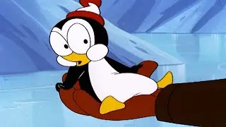 Woody Woodpecker | Endangered Chilly + More Full Episodes