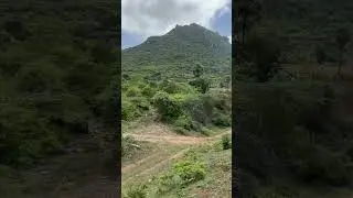 Madukkarai walayar trial run #horn #railway #train