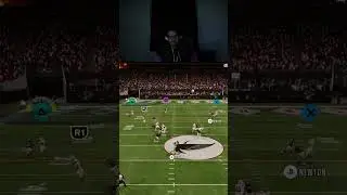 Отличный пас на тачдаун... Madden 26