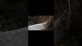 GANGGUAN HOTEL ANGKER #shortvideo #shorts #horror