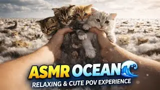 ASMR OCEAN 🌊 | Cute & Relaxing POV Experience 😻@AIsmr-y9s 