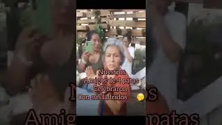 Recordando el primer a&ntilde;o de nuestro hogar BENLU #perros #apoyame #adopt&aacute;nocompr&eacute;s
