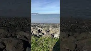 Juana Guillen Vlogs est&aacute; en vivo empezando de nuevo