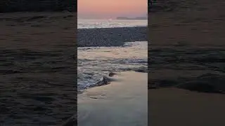 Buneci 🌊