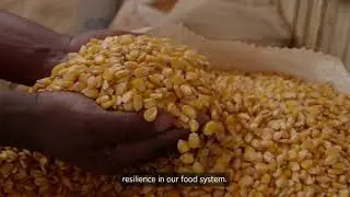 P4G's Pioneering Green Partnerships in SDG 2: Food and Agriculture