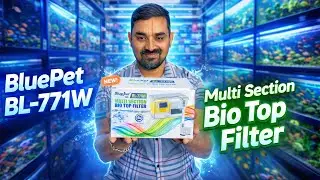 Unboxing Bluepet BL-771W Bio Top Filter  | Best Waterfall Filter for Aquarium? | Full Review & Setup