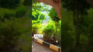 Garden / Park in Arabic #arabic #arabiclanguage #العربية #arabicvocabulary #trees #languagelearning