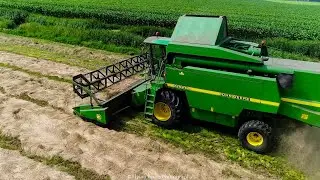 Graszaad dorsen | Harvesting grass seed | Grassamen dreschen | John Deere | Combine | Grasseizoen
