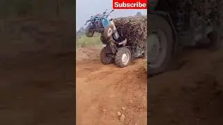 Dogg Bob hi k fee to k GA d JK