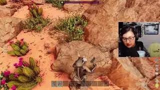 Surviving the Desert | Late Night Birthday Stream | Ark Survival Ascended