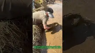 Eco House Building: Mud & Straw Magic!