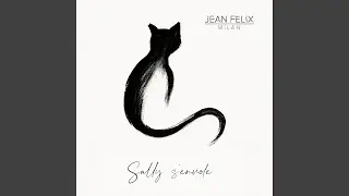 Sally s'envole