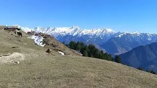 Manshi Top Trek, Sharan forest&nbsp;| MashAllah ❤️