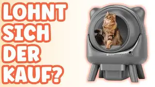 Amicura X1 - Selbstreinigende Katzentoilette im Test [KURZ & KOMPAKT]