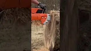 Stihl 070 Chainsaw Clone Neotec is a BEAST!