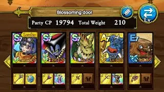 DQ Tact - Blossoming Door 25, Forest Dragon strategy