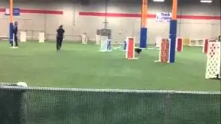 Skyy Master Jumpers 3-4-14