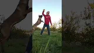 يوم جميل 🤩 في البادية مع لينا 🐕‍🦺🐕‍🦺 الزوينة ✅🛜 #الرباط #تفلت #الخميسات