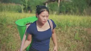 Harvesting Hundreds of Stone Crabs & Goes to Market Sell – A CEO Returns to the Forest for Survival
