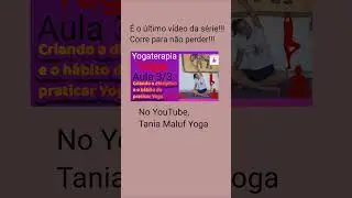 Disciplina 3/3 #yoga #energia #yogadiario #pr&aacute;tica #gratid&atilde;o #yogaefelicidade #yogagratis #bomdia